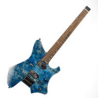 electric guitar GW2