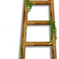 aluminium alloy ladder