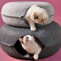 Felt Cat's Nest