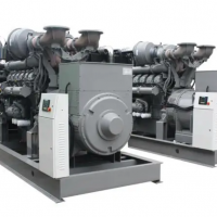 Diesel generator set