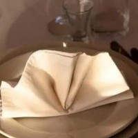 napkin