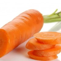 carrot