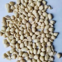 CHINESE ORGANIC BLANCHED PEANUT KERNELS 36/41