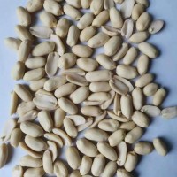 CHINESE ORGANIC BLANCHED PEANUT KERNELS 41/51