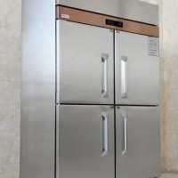 Platform style stainless steel door refrigerator