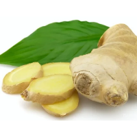 organic ginger