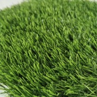 Artificial Grass