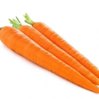 carrot