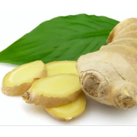 organic ginger